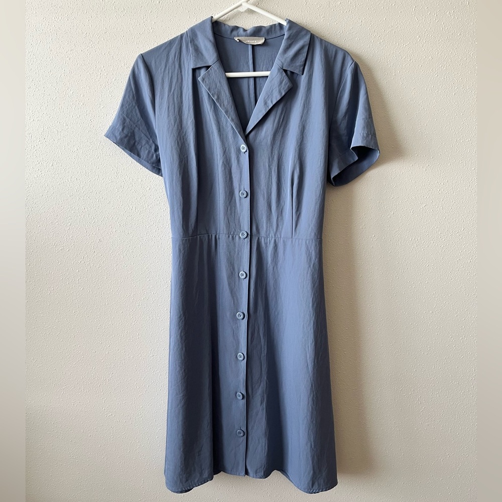 Everlane Dress